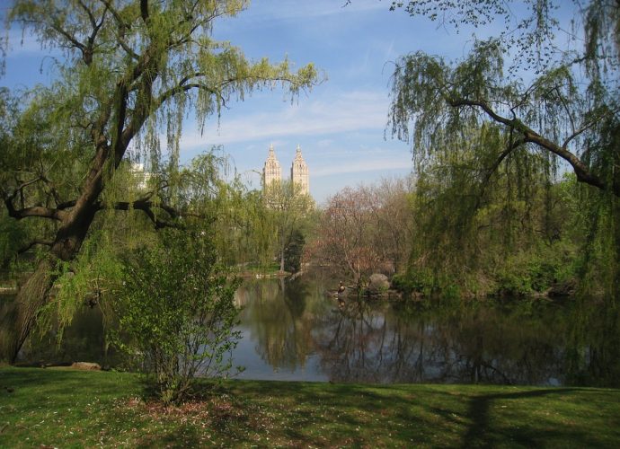 New York City scenery or skyline