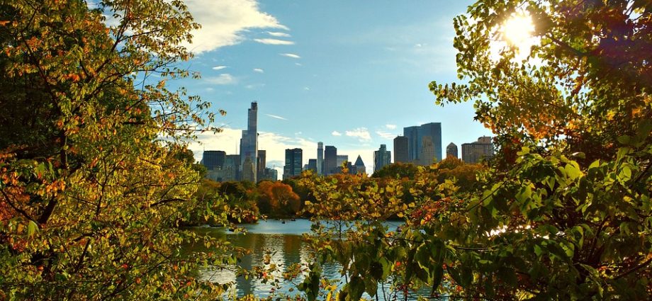 New York City scenery or skyline