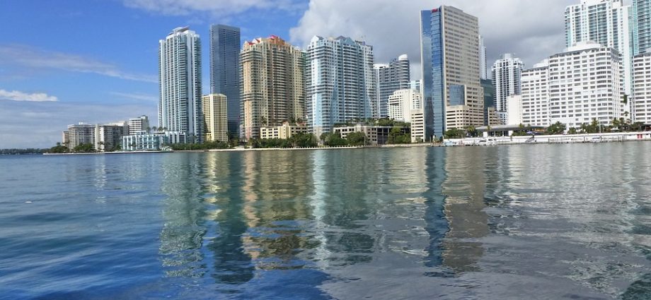 Miami scenery or skyline