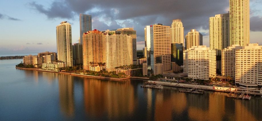 Miami scenery or skyline