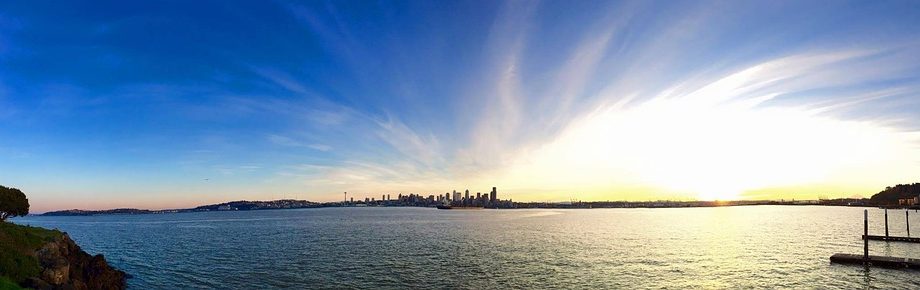 Seattle scenery or skyline