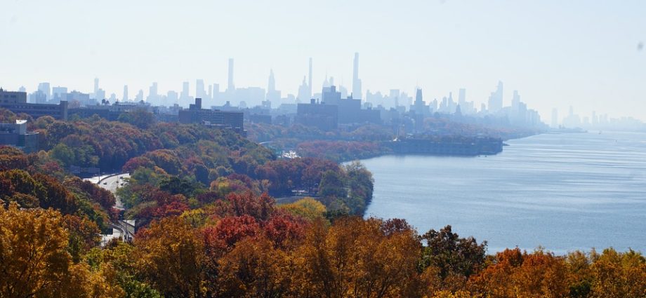 New York City scenery or skyline